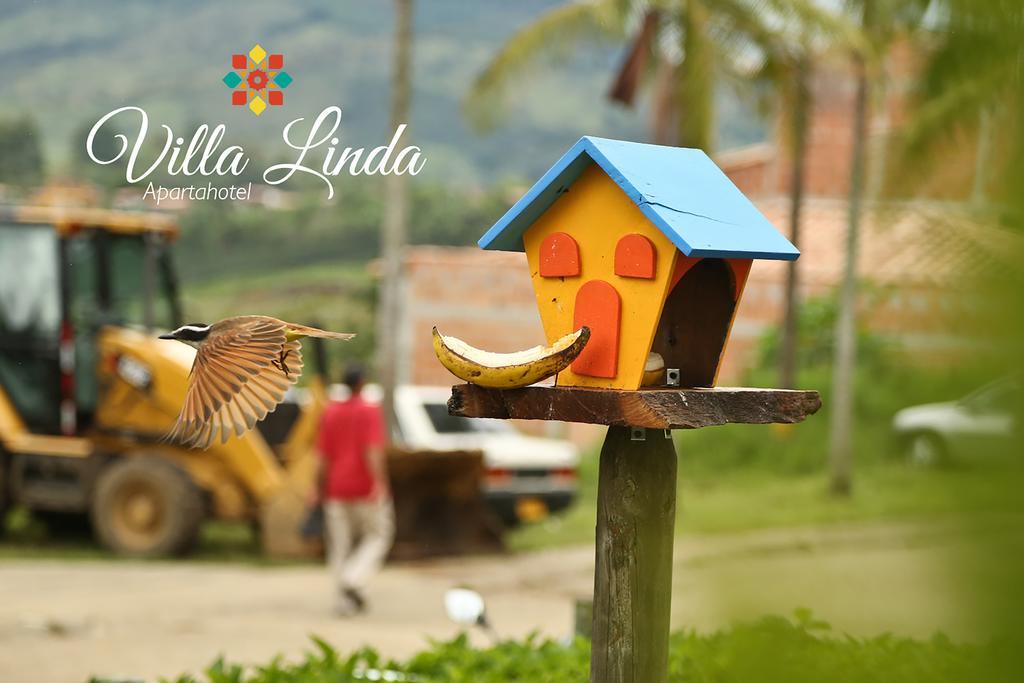 Linda *
